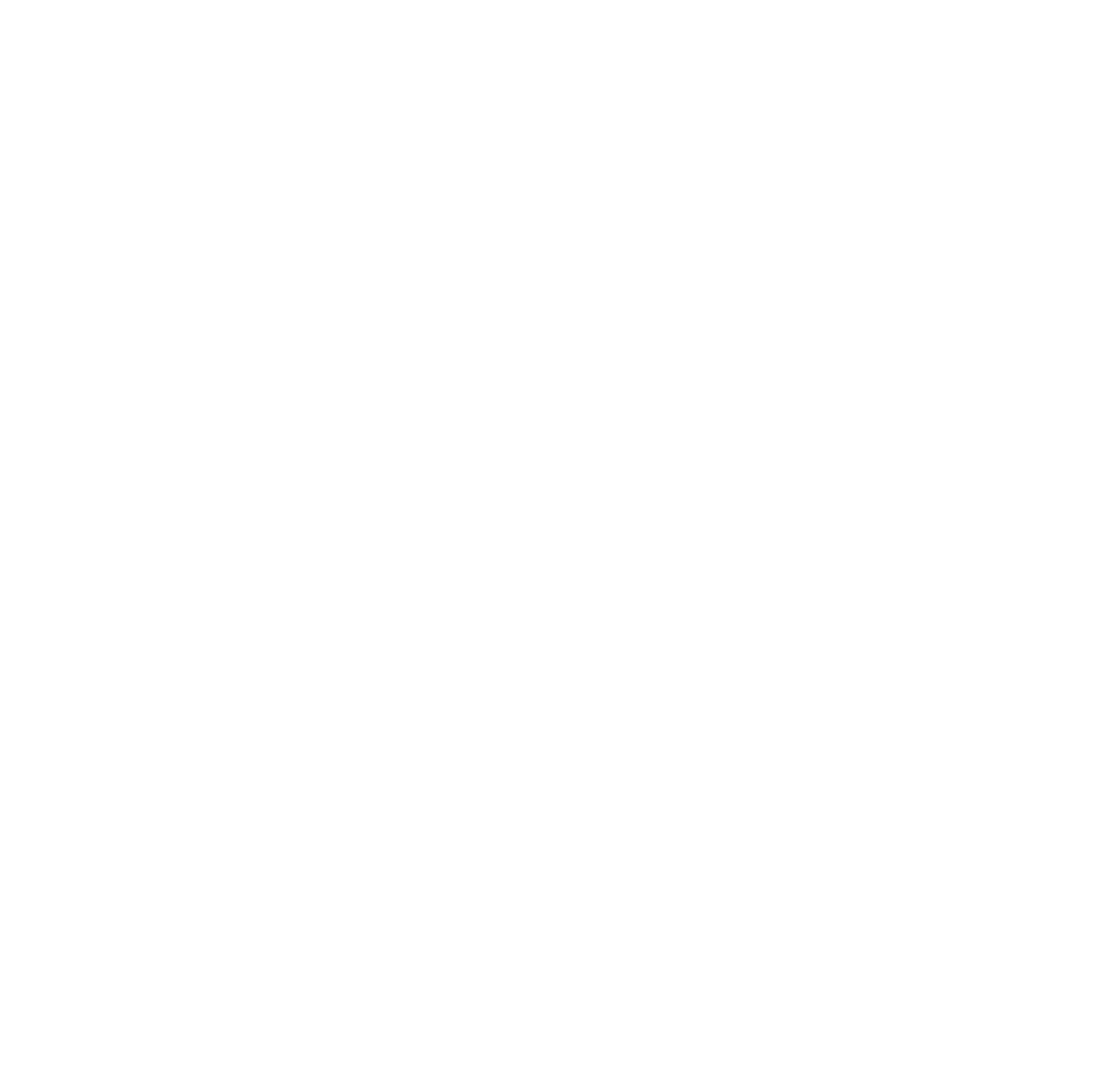 Octorion Logo